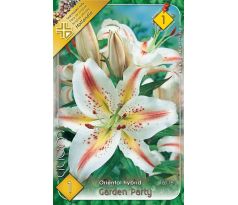 Lilium - Garden Party/1 ks