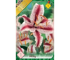 Lilium - Dizzy/1 ks