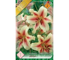 Lilium - Lavon obria ľalia/1 ks