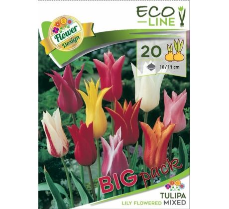 Tulipa lilyflowered mixed - 20 ks