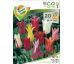 Tulipa lilyflowered mixed - 20 ks