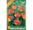 Tulipa - Willem van Oranje / 6ks v balení