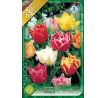 Tulipa - Double early mixed / 7ks v balení