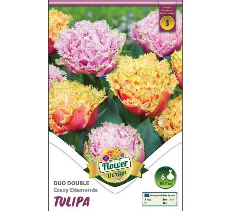 Tulipa - Duo Crazy Diamonds
