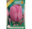 Tulipa - Don Quichotte / 6ks v balení