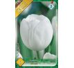 Tulipa - Triump White / 6ks v balení