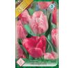 Tulipa - Hemisphere / 6ks v balení