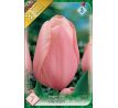Tulipa - Menton / 7ks v balení