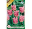Tulipa - Fancy Frills / 8ks v balení