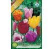 Tulipa Fringed/Crispa - mixed / 8ks v balení