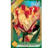 Tulipa - Flaming Parrot / 5ks v balení