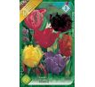 Tulipa Parrot - mixed / 7ks v balení