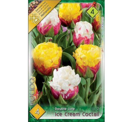Tulipa - Ice Cream Coctail