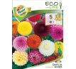 Dahlia - Pompon mixed/5ks