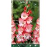 Gladiolus - Pink Lady