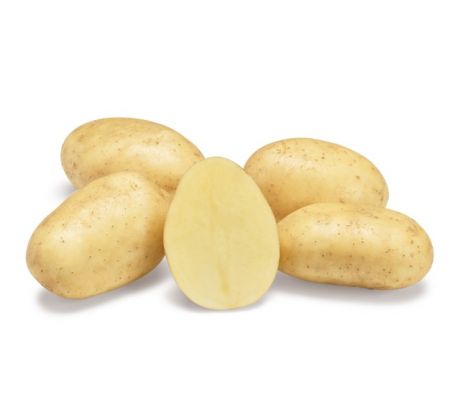 Holandské sadivo zemiakov / minihľuzy 50ks - PARADISO