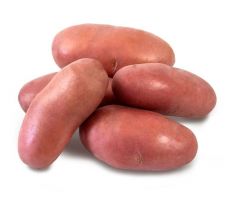 Holandské sadivo zemiakov / minihľuzy 30ks - FRANCELINE