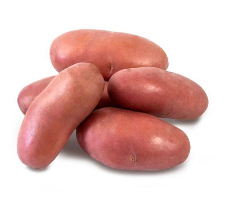 Holandské sadivo zemiakov / minihľuzy 30ks - FRANCELINE