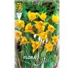 Tulipa sylvestris