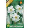 Narcissus poeticus var. Recurvus / 5ks v balení