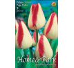 Tulipa - Page Polka / 5ks v balení