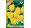 Tulipa - Crystal Star/ 8ks v balení