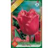 Tulipa - Red Wing / 8ks v balení
