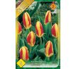 Tulipa - Stresa / 8ks v balení