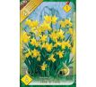 Narcissi Botanical - Tete a Tete /8ks v balení