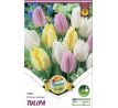 Tulipa single - Prince mixed / 6ks v balení