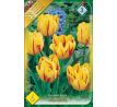 Tulipa - Monsella / 6ks v balení