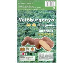 Holandské sadivo zemiakov / minihľuzy 50ks - KONDOR