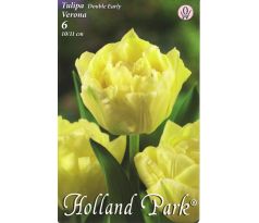 Tulipa Double Early - Verona / 5ks v balení