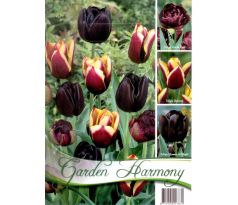 Garden Harmony Tulipány - BLACK 3x6