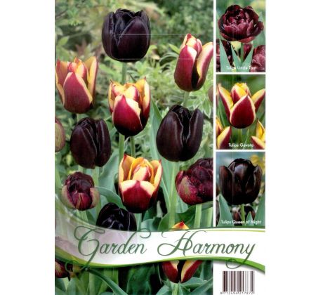 Garden Harmony Tulipány - BLACK 3x6