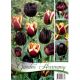 Garden Harmony Tulipány - BLACK 3x6