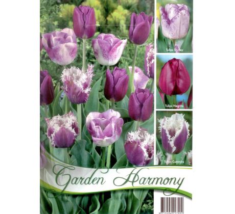 Garden Harmony Tulipány - PURPLE 3x6