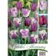 Garden Harmony Tulipány - PURPLE 3x6