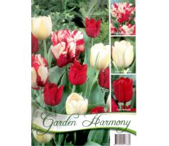 Garden Harmony Tulipány - RED-WHITE 3x6