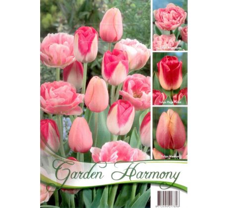 Garden Harmony Tulipány - PINK 3x6