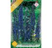Aconitum blue