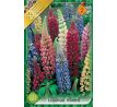 Lupinus mixed