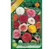 Ranunculus asiaticus - mixed