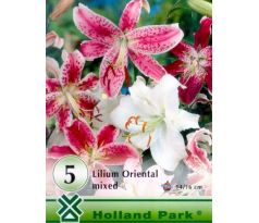 Lilium oriental - mixed 5 ks